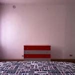 Room semplice